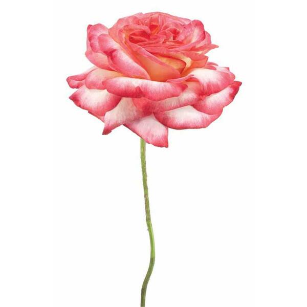 Empire Art Vetro De Arte - Pink Rose TMP-EAD0371-3248